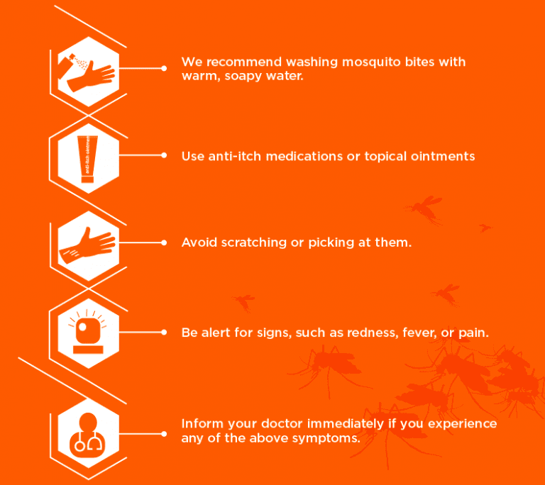 What Should I Do For A Mosquito Bite Elevate Pest Control