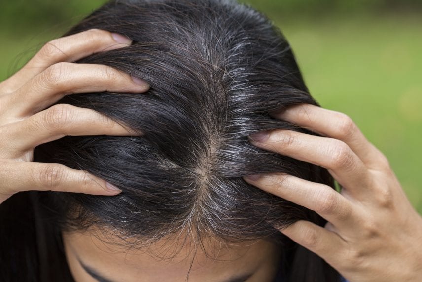 5 Amazing Ideas on How to Prevent and Eliminate Lice in Your Home |