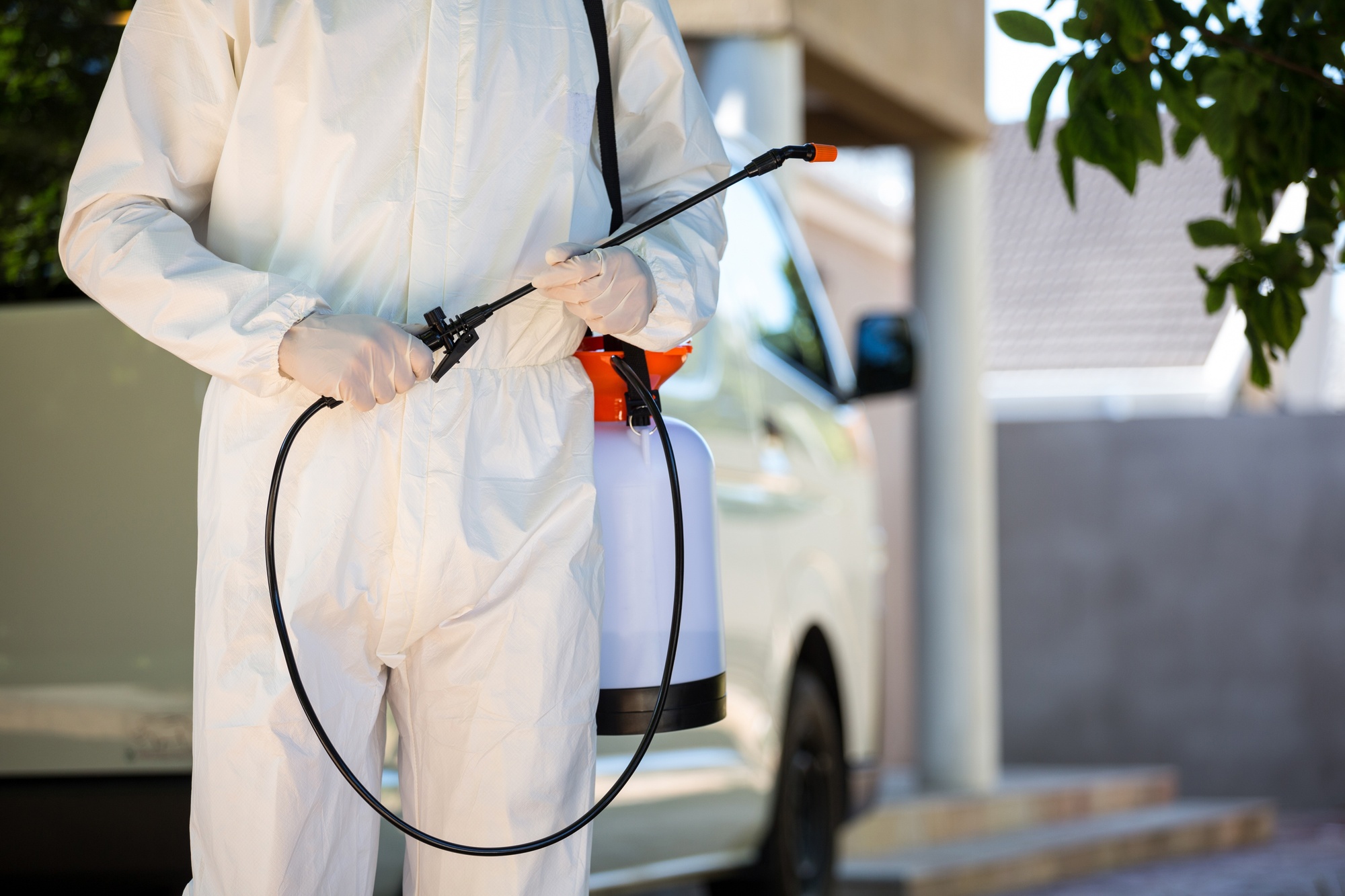 Should You Consider Professional Pest Control?