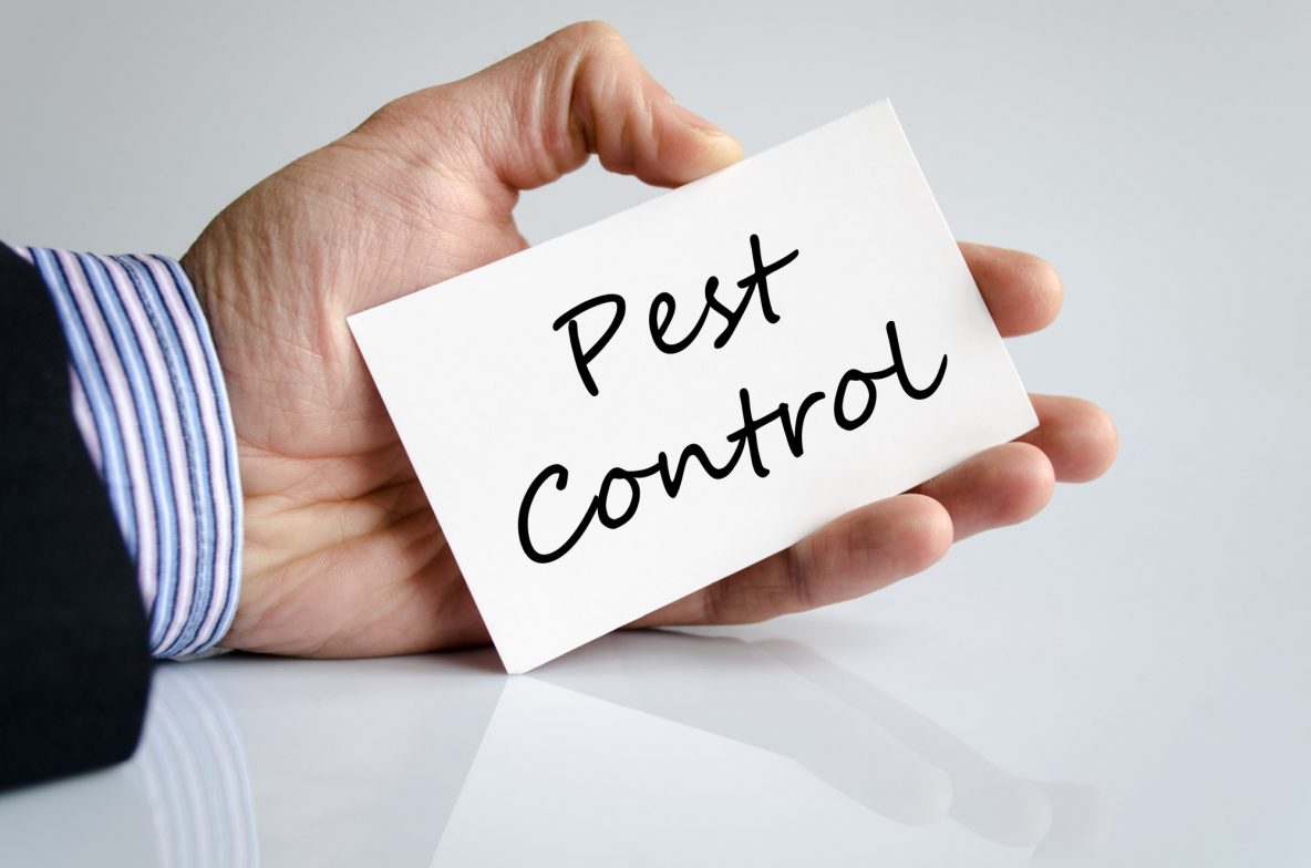 what-is-organic-pest-control