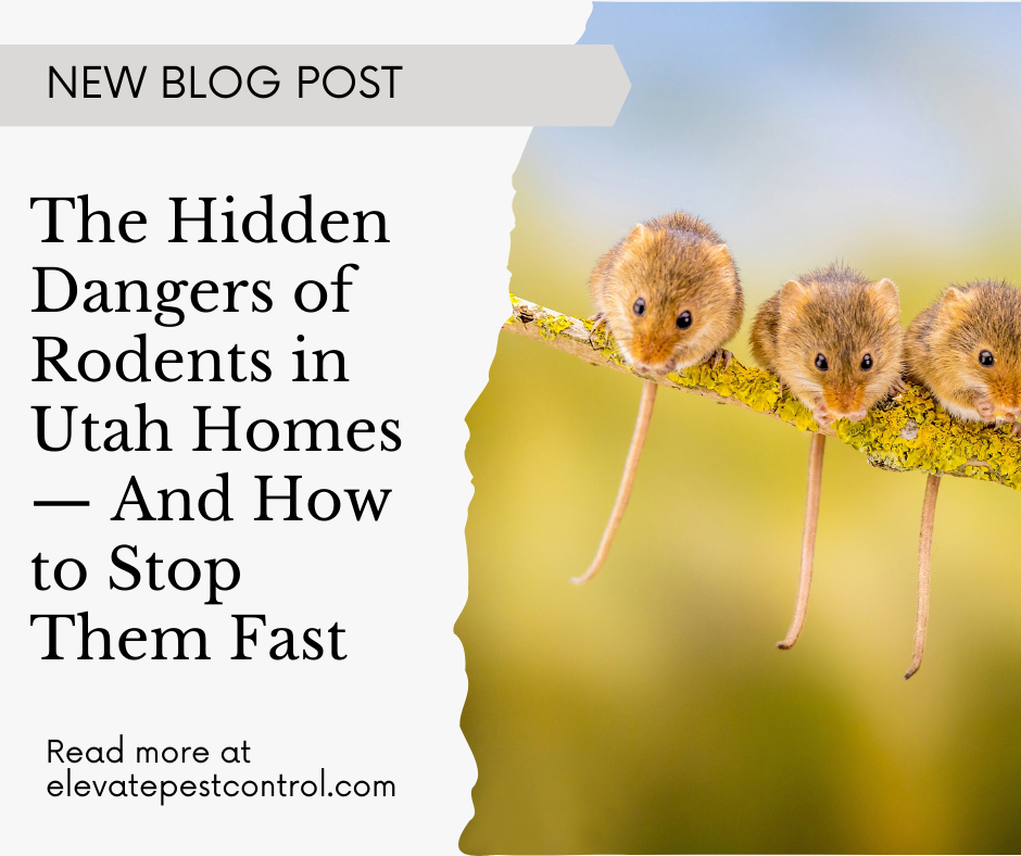 Pest Control in Porterville, CA, with services for Termites, Bed Bugs ...